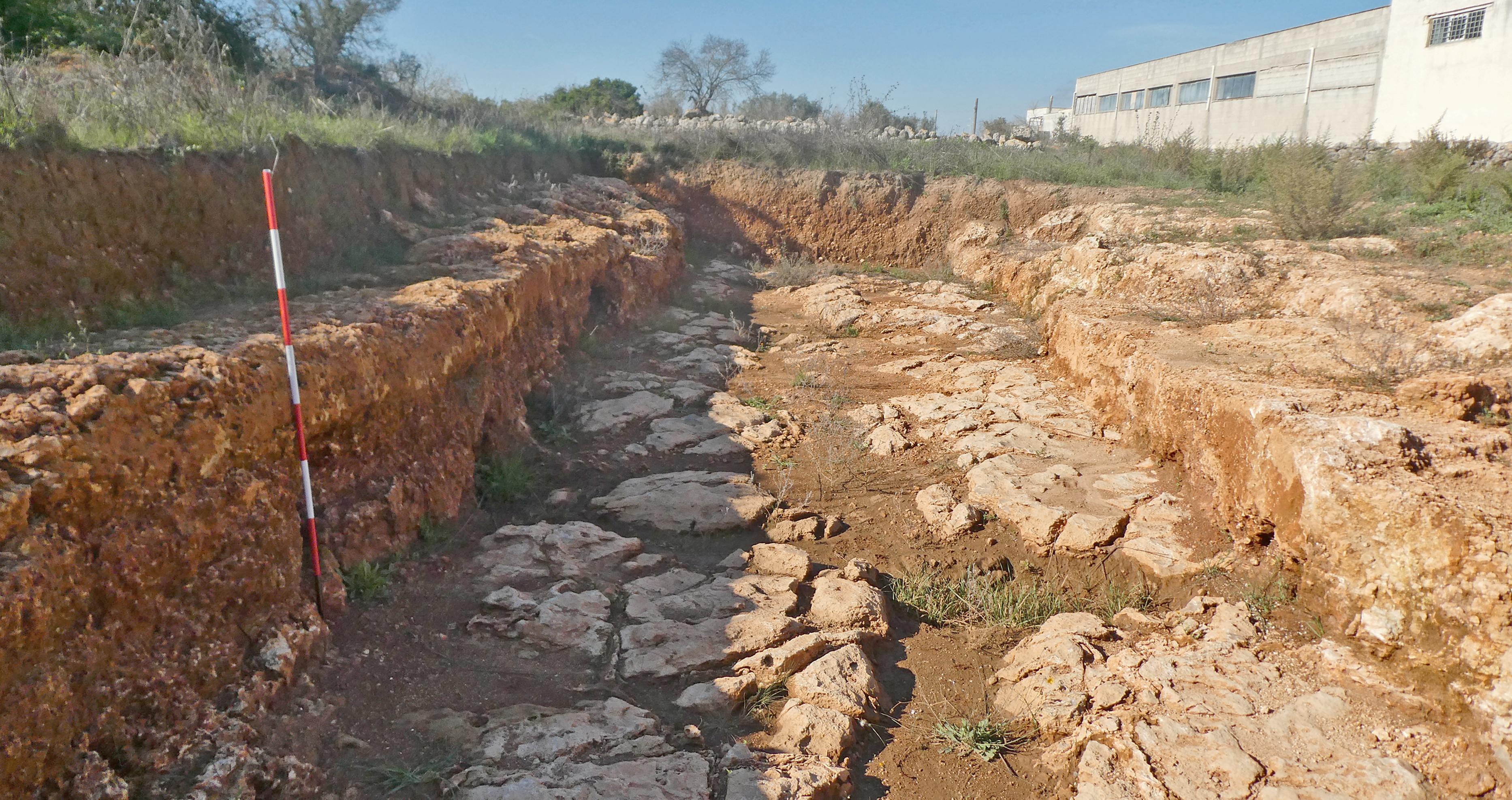 Fig. 7. Section of the ditch brought to light in the Santisorgi-Aia area.